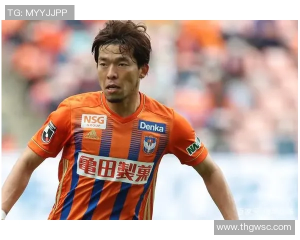 京都不死鸟与向日葵的对决谁将成为春日的胜者与象征